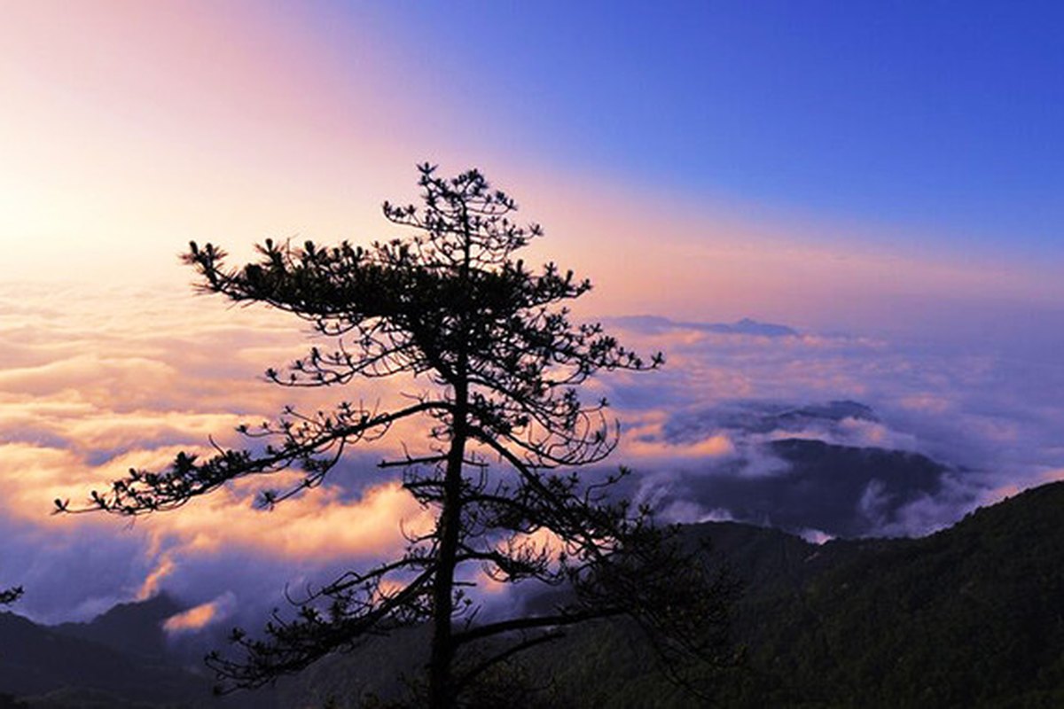 到英山吃什么？这几道山里味道别错过