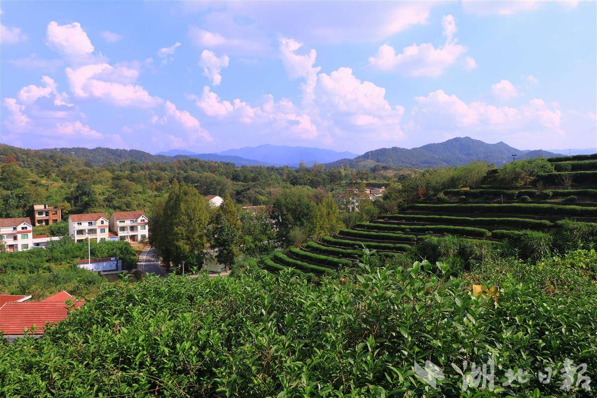 登大别山主峰，览英山群山叠翠